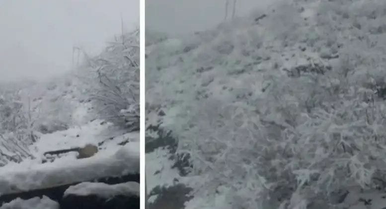 उत्तराखंड में मौसम का कहर: बारिश-बर्फबारी , ठंड ने फिर दी दस्तक