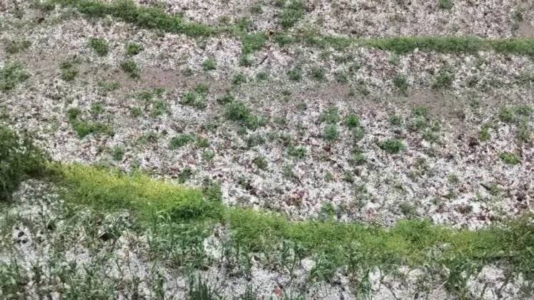 (उत्तराखंड) बागेश्वर में तेज बारिश व ओलावृष्टि का कहर, एक घंटे में तबाह हुई किसानों की महीनों की मेहनत