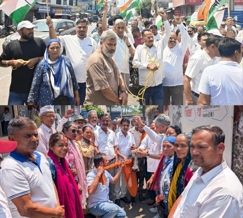 लालकुआं भरी बाजार में कांग्रेस का अनोखा विरोध-प्रदर्शन: रस्सियों से बाइक खींचकर तो किसी ने भैंस के आगे बीन बजाकर” किया प्रदर्शन- वीडियो