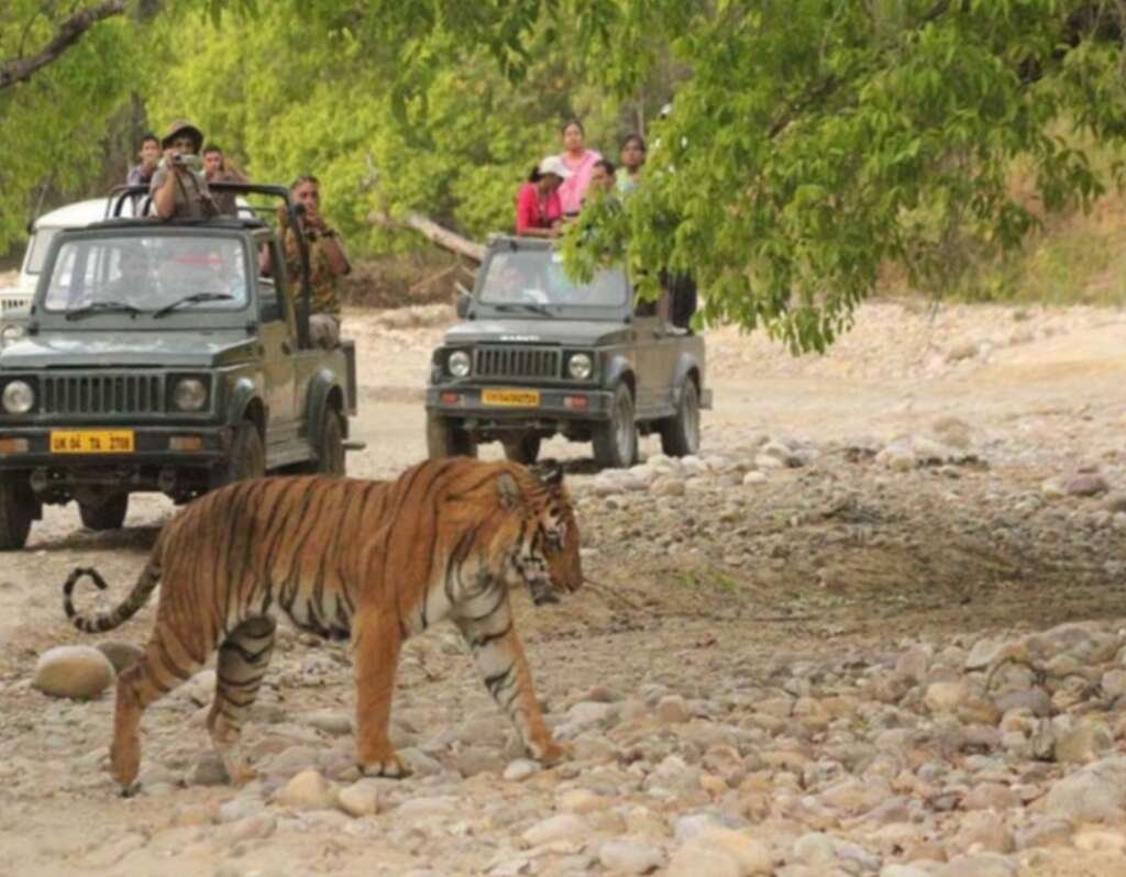 15 नवंबर तक इंतजार: कार्बेट के वन विश्राम गृहों में नहीं ठहर सकेंगे पर्यटक