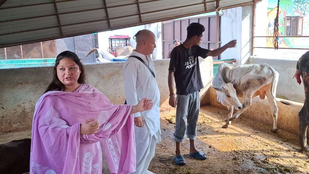 हल्द्वानी (बड़ी खबर) ‘हमें बदनाम करने की साजिश’— गौशाला संचालिका ने वायरल वीडियो पर दी सफाई