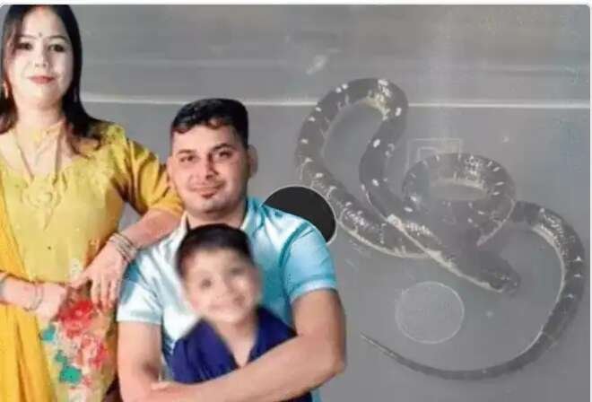 लव मैरिज का खौफनाक अंत : पति को रास्ते से हटाने के लिए रच डाली रोंगटे खड़े कर देने वाली साजिश