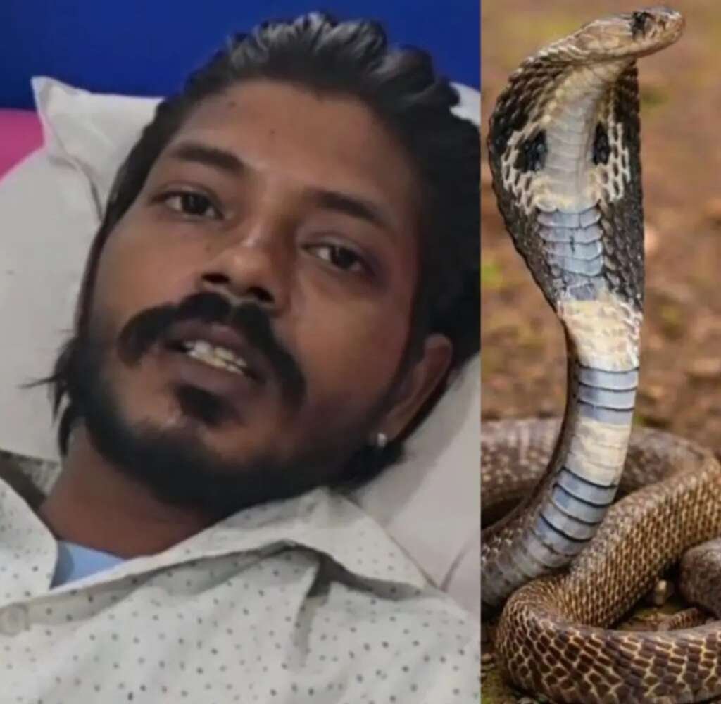 रामनगर हाथ में जिंदा कोबरा, उंगली पर जहर… अस्पताल पहुंचा युवक तो हर कोई रह गया दंग